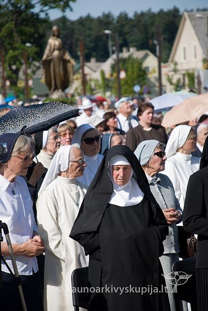 20090909 silines 0138 sk