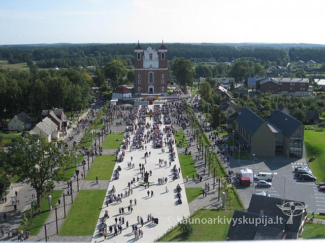 20090912 silines 0005 gt