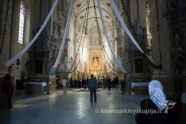 20090912 silines 0008 sk