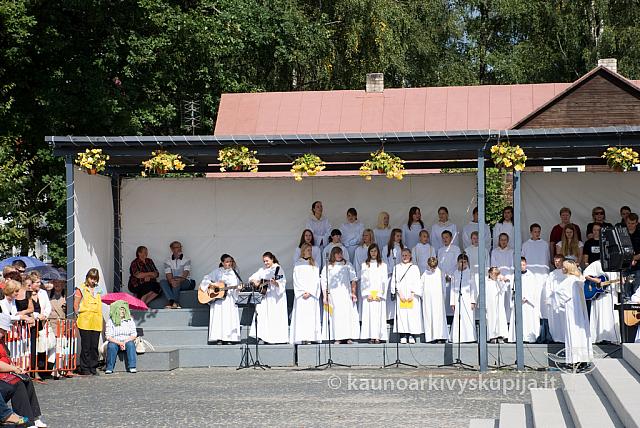 20090912 silines 0111 sk