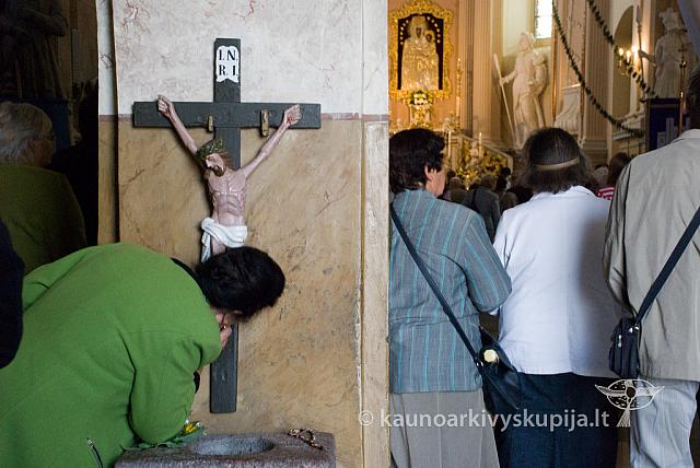 20090913 silines 0020 sk