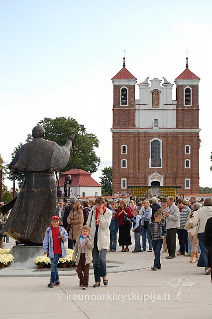 20090913 silines 1006 ds