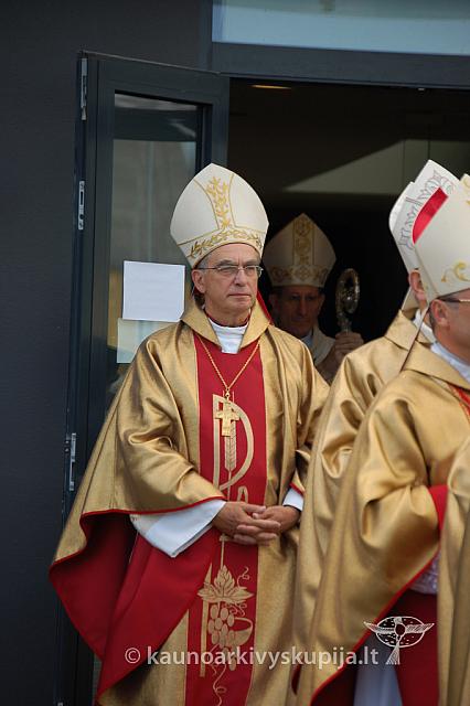 20090913 silines 1023 ds