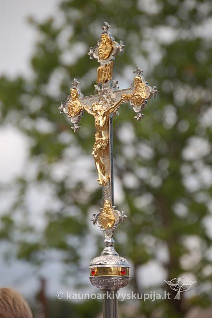 20090913 silines 1036 ds