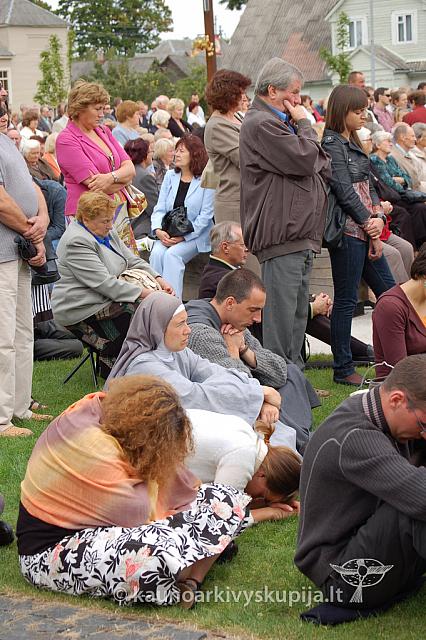 20090913 silines 1118 ds