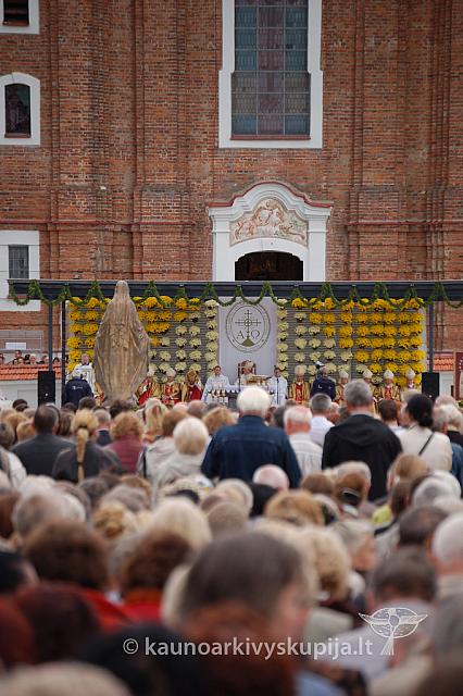 20090913 silines 1129 ds