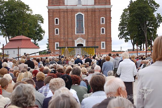 20090913 silines 1130 ds