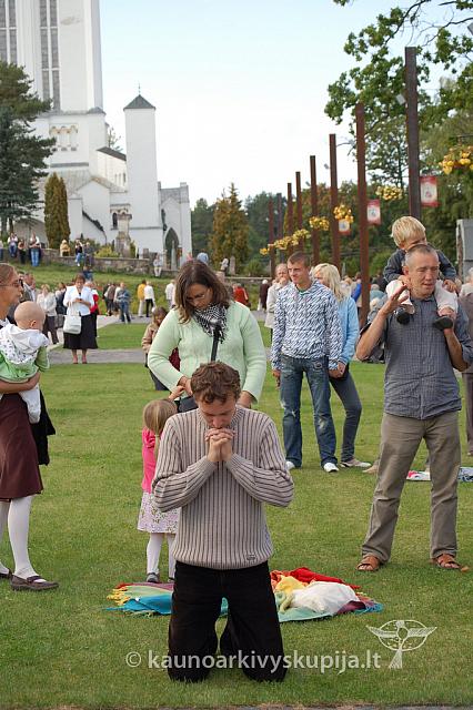 20090913 silines 1160 ds