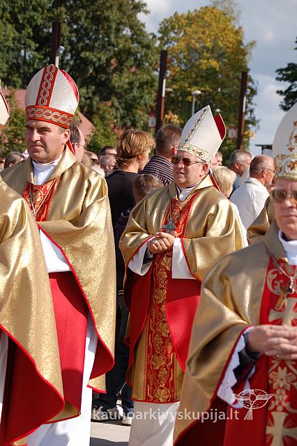 20090913 silines 1214 ds