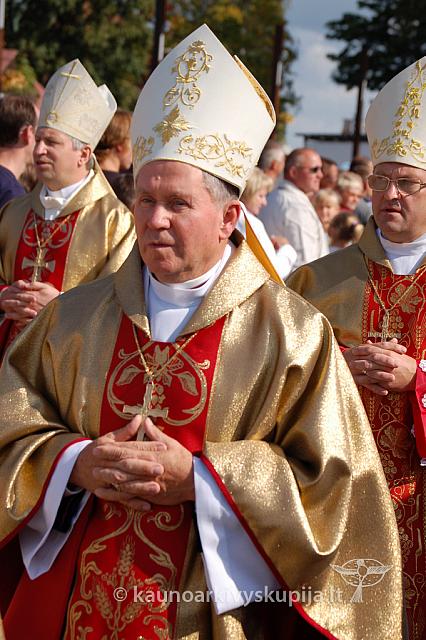 20090913 silines 1216 ds