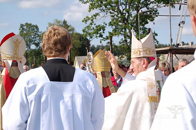 20090913 silines 1231 ds