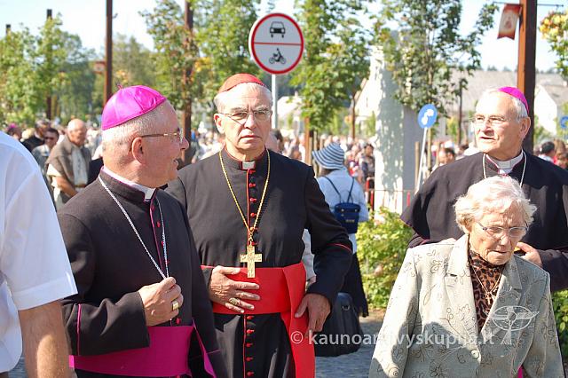 20090913 silines 1280 ds