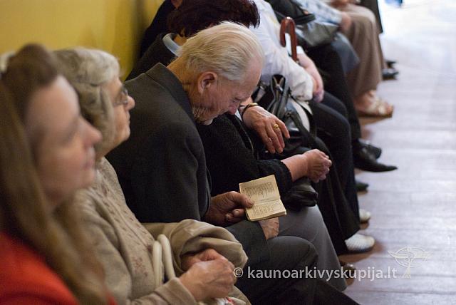 20090913 silines 2049 sk