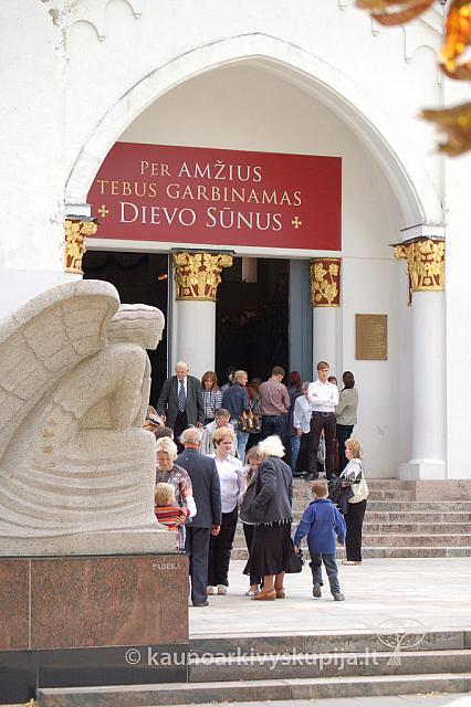 20090913 silines 2060 ds