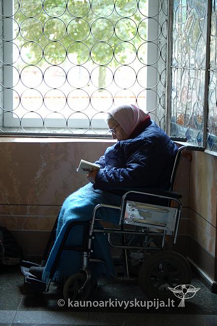 20090913 silines 2081 ds