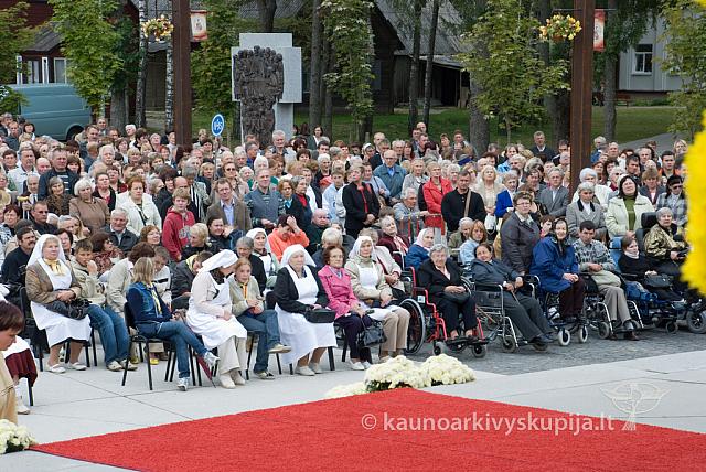 20090915 silines 0020 dch