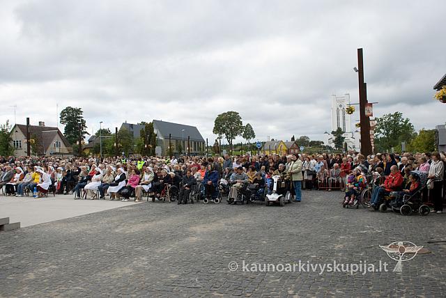 20090915 silines 0028 dch