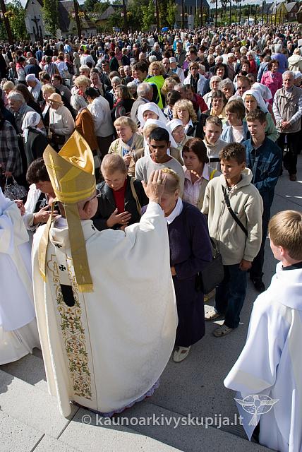 20090915 silines 0075 dch