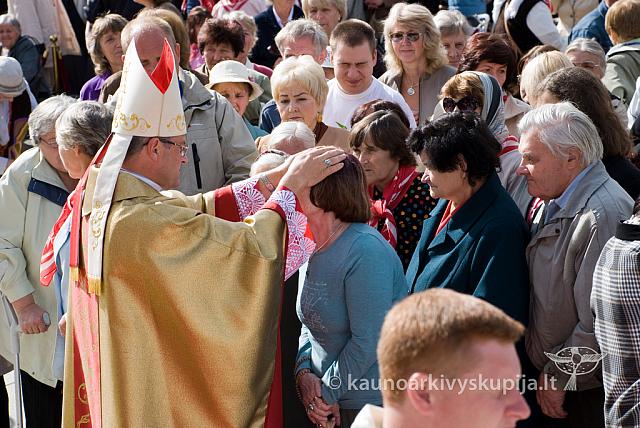 20090915 silines 0077 dch