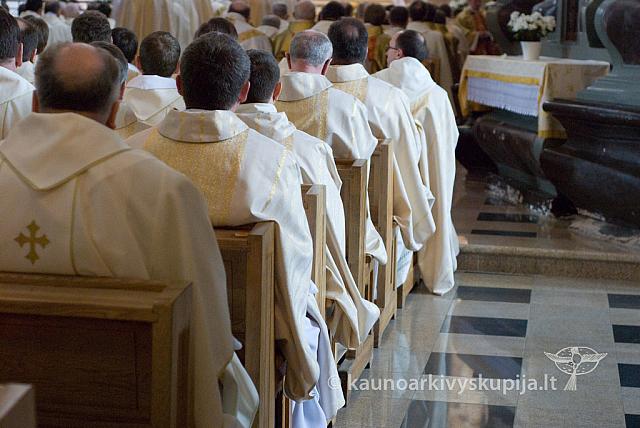 2011 kun-simpoz 1019 sk