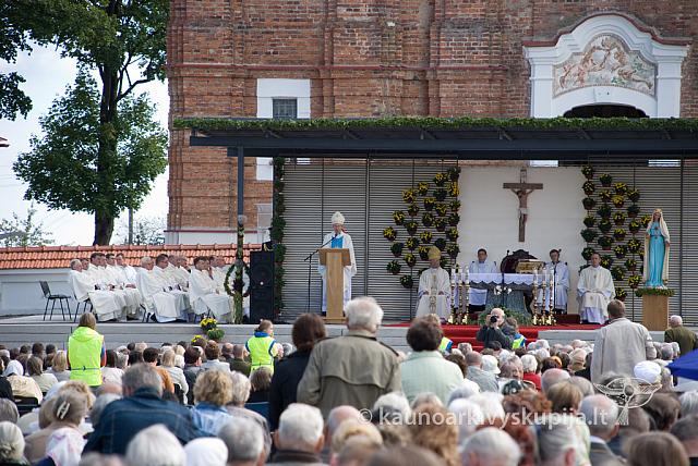 20100908 silines 0006 dch