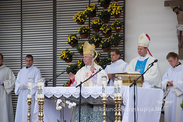 20100908 silines 0044 dch