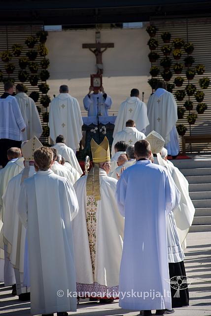 20100909 silines 0016 sk