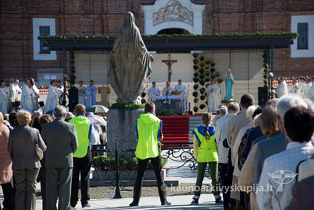 20100909 silines 0026 sk