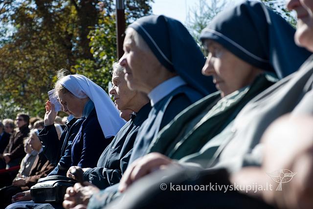 20100909 silines 0027 sk