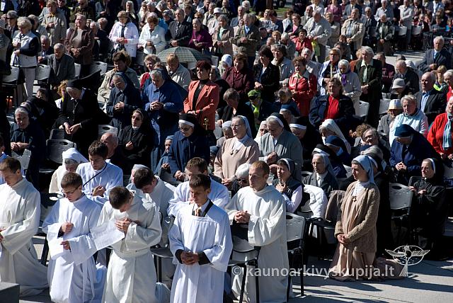 20100909 silines 0061 sk