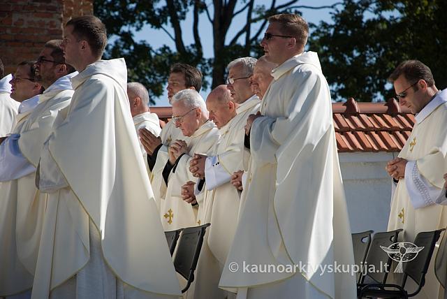 20100909 silines 0072 sk