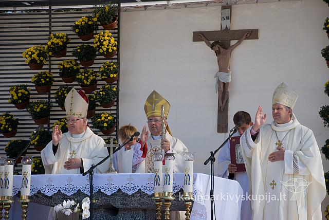 20100909 silines 0075 sk