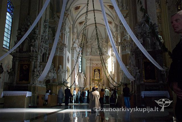 20100909 silines 0094 sk