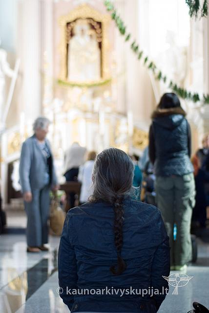 20100909 silines 0096 sk