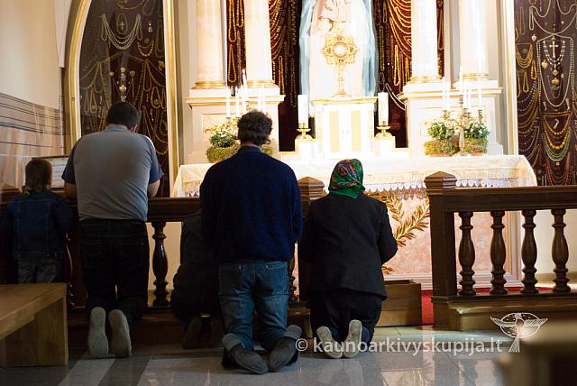 20100909 silines 0100 sk