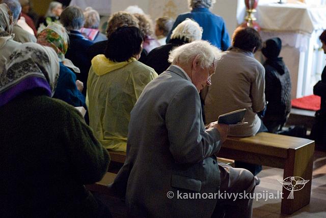 20100910 silines 0101 sk