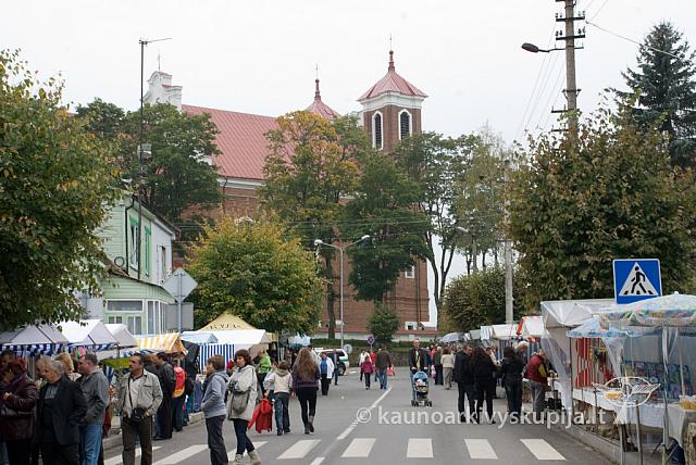 20100911 silines 0001 sk