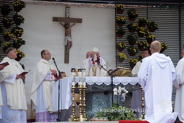 20100911 silines 0030 sk