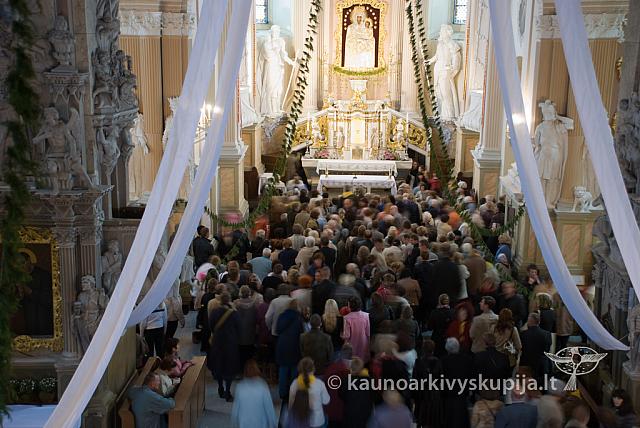 20100911 silines 0092 sk