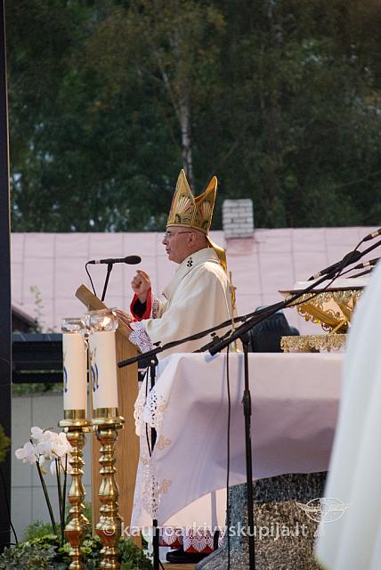 20100911 silines 0173 sk