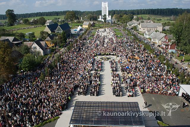 20100912 silines 0240 sk