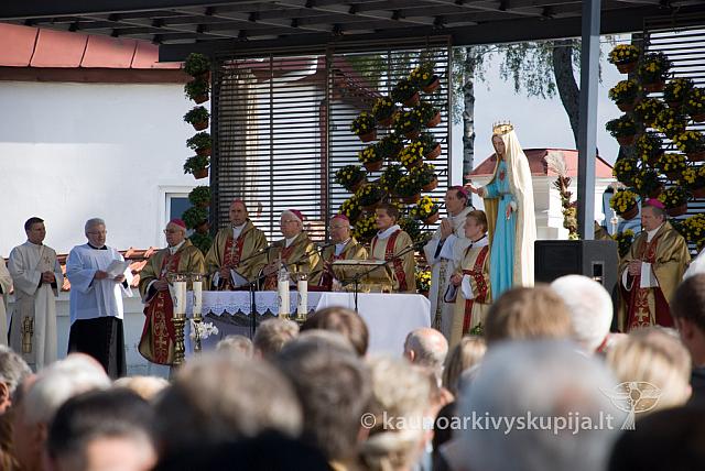 20100912 silines 1003 sk