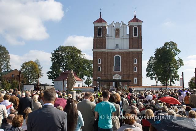 20100912 silines 1011 sk