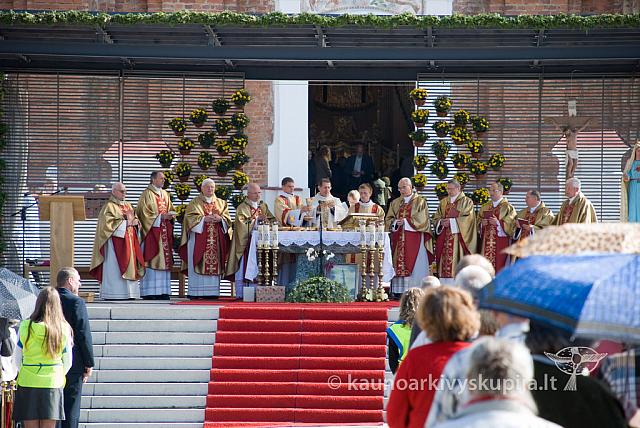 20100912 silines 1056 sk