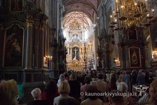 2011 kn-diena 005 sk