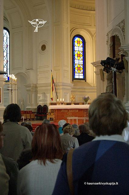 2011 devintines 0010 ds