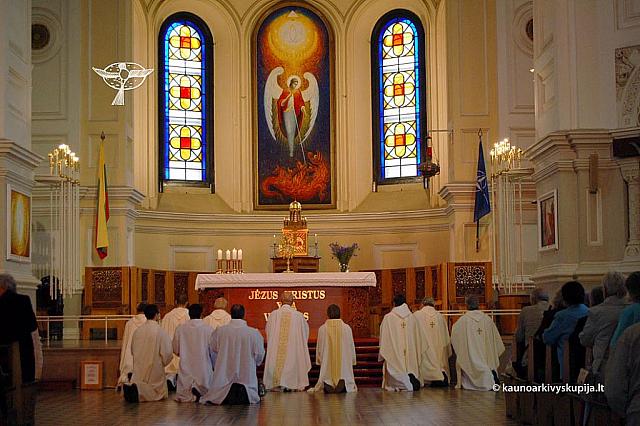 2011 devintines 0012 ds