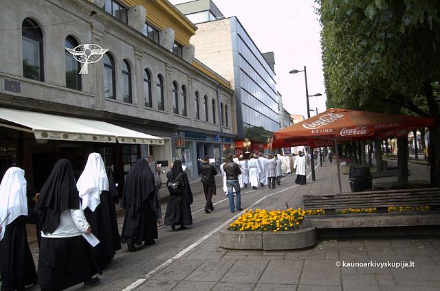 2011 devintines 0108 ds