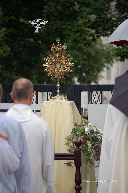 2011 devintines 0260 ds