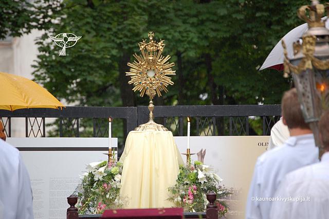 2011 devintines 0277 ds